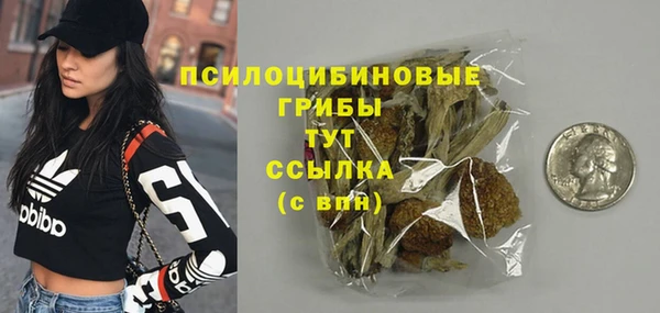 ПСИЛОЦИБИНОВЫЕ ГРИБЫ Абаза