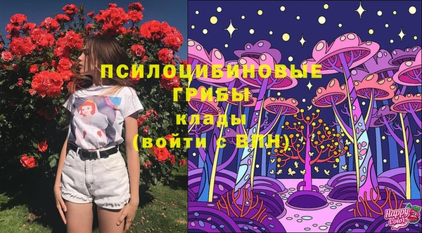 ПСИЛОЦИБИНОВЫЕ ГРИБЫ Абаза