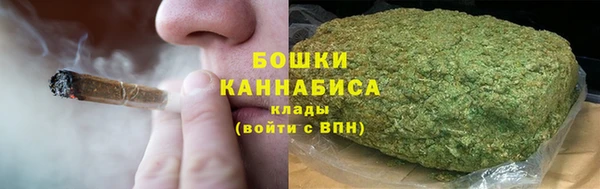 ПСИЛОЦИБИНОВЫЕ ГРИБЫ Абаза