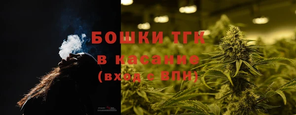 ПСИЛОЦИБИНОВЫЕ ГРИБЫ Алзамай