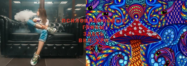 ПСИЛОЦИБИНОВЫЕ ГРИБЫ Алзамай