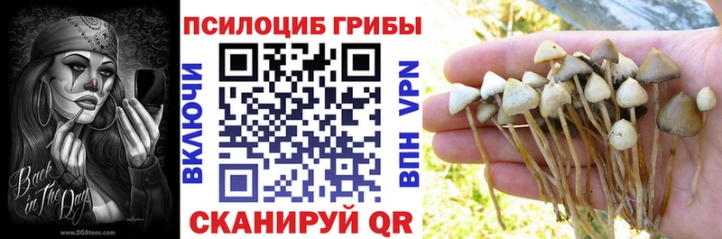 Псилоцибиновые грибы Psilocybine cubensis  цены   Полтавская 